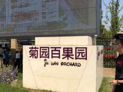 -菊园百果园