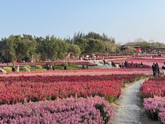 -厦门明发国际大酒店(会展中心环岛路店)