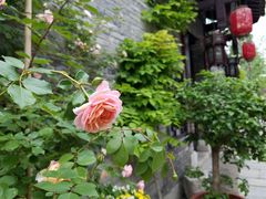 -回龙窝历史文化街区