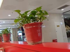 -鸡遇虾煲干锅火锅(小寨金莎店)