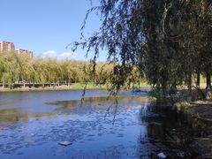 -东坝千亩湖公园