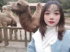 -贵州森林野生动物园