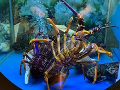 -辉哥火锅(虹桥路店)