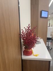 -上海玫瑰医疗美容医院