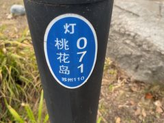 -金鸡湖桃花岛