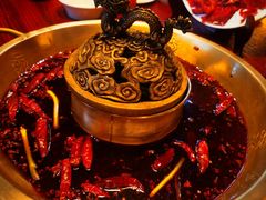 经典鸳鸯-小龙翻大江文化火锅(宽窄店)