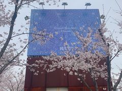 -龙美术馆(西岸馆)