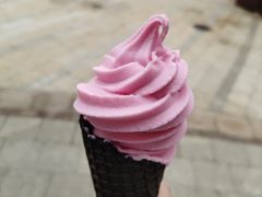 -喜茶(迪士尼小镇DP店)