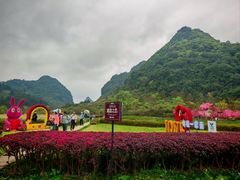 -靖西鹅泉风景区