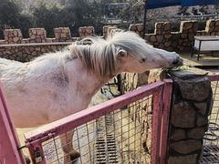 -金庭庄园酒店-停车场