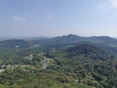 -牛首山文化旅游区