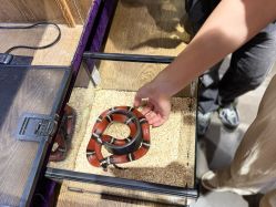 -Zoolung Zoolung动物主题公园(海信广场店)