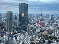 -六本木新城展望台(东京城市景观)