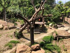 -宁波野生动物园