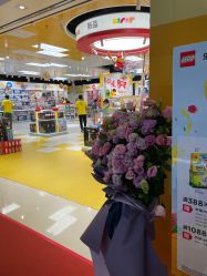 -乐高授权专卖店(中关村领展店)
