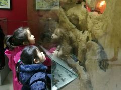 -上海昆虫博物馆