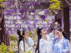 -龙口南山旅游景区