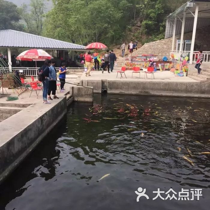 顺通虹鳟鱼养殖中心