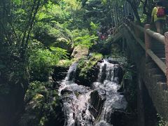 -藏龙百瀑风景区
