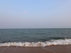 -渡海小渔村.老辈日照菜