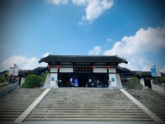 -大唐贡茶院
