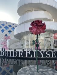 -花嫁丽舍婚礼殿堂(世博江景店)