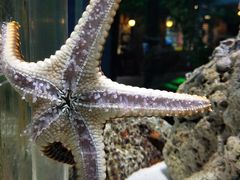 -太平洋海底世界