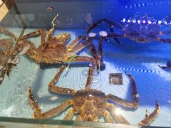 -阿伟海鲜楼·福建菜(延寿店)