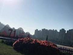 -野狸岛