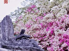 -深圳国际园林花卉博览园