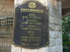 -大屏嶂森林公园