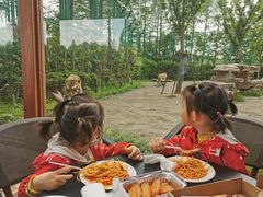 -上海野生动物园老虎餐厅