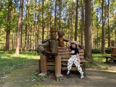 -黄海国家森林公园