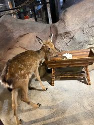 -酷嗒动物文化乐园(cutezoo西溪乐天城店)