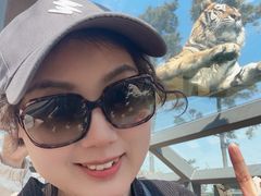 -西霞口神雕山野生动物世界