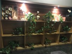 -梧桐树下(云锦世家店)