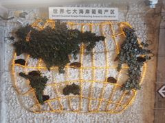 -青岛葡萄酒博物馆