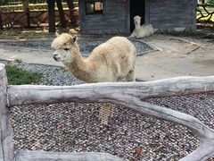 -昆山城市生态森林公园