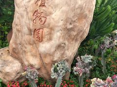 -亚龙湾国际玫瑰谷