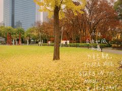 -新虹桥中心花园