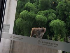 -苏州环秀晓筑养生度假村