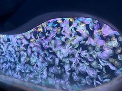 -海合安天津极地海洋公园
