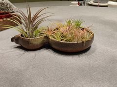 -虹御轩·传承江浙菜(虹桥店)