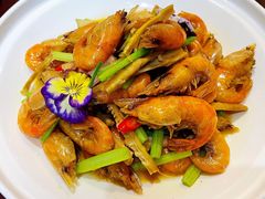 -十八棵（老龙井）御茶园(老龙井店)