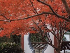-中山公园