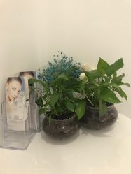 -紫御国际抗衰ZOE ANTI AGING