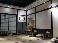 -逗柴咖啡屋·狗咖猫咖宠物桌游