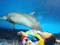 -横琴湾水世界