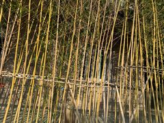 -宝盖山风景区-停车场