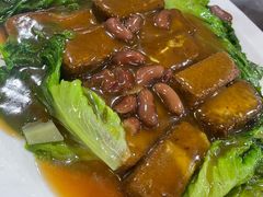 -东鸽皇(奥园·中环广场店)